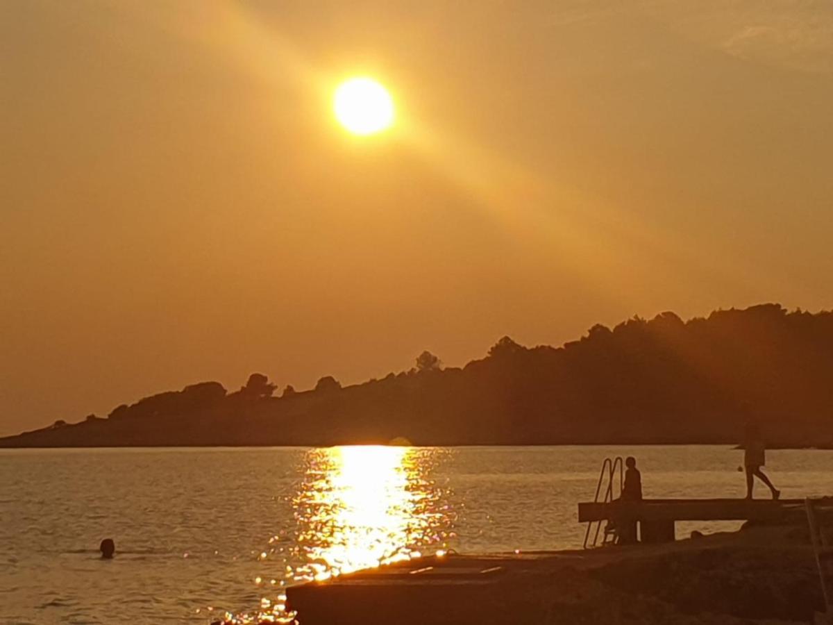Ana Apartma Rogoznica (Sibenik-Knin)
