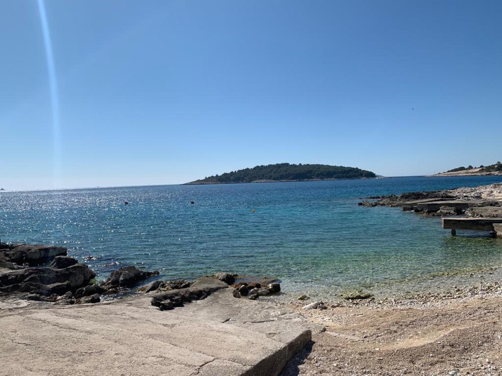 Ana Rogoznica (Sibenik-Knin)